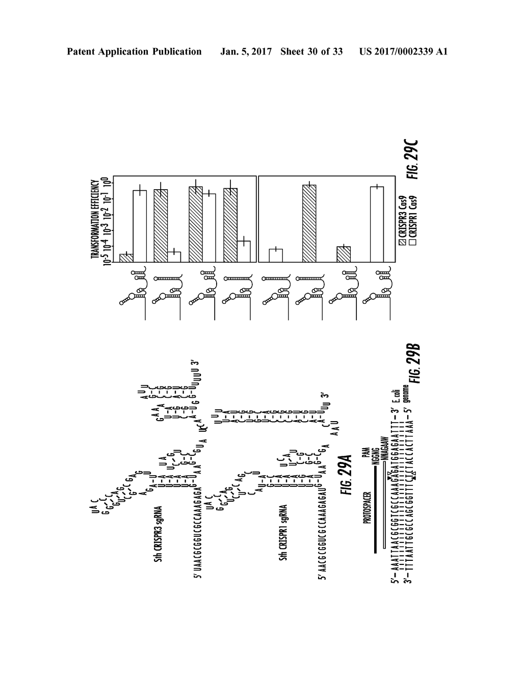 Methods and Compositions for Sequences Guiding Cas9 Targeting - diagram, schematic, and image 31